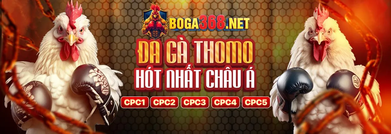 Hình ảnh giới thiệu về HI2388, một nền tảng cá cược trực tuyến hàng đầu